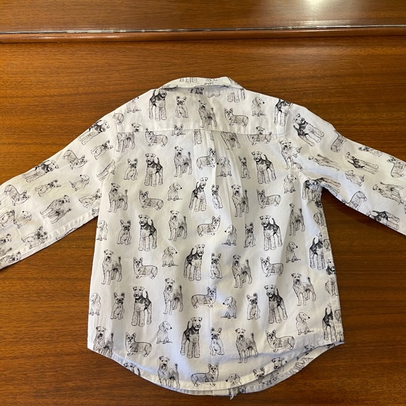 3-pack Janie and Jack Button Downs, 12-18 mos - Picture 8 of 8